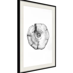 Poster 'Tree Rings'
