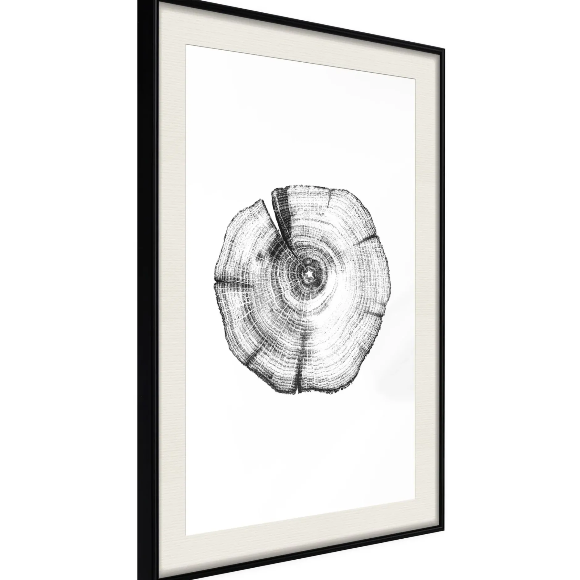 Poster 'Tree Rings'