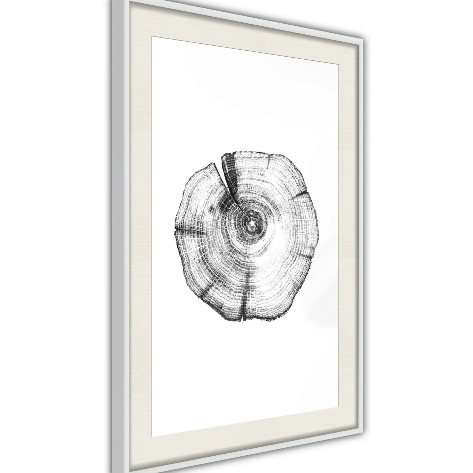 Poster 'Tree Rings'