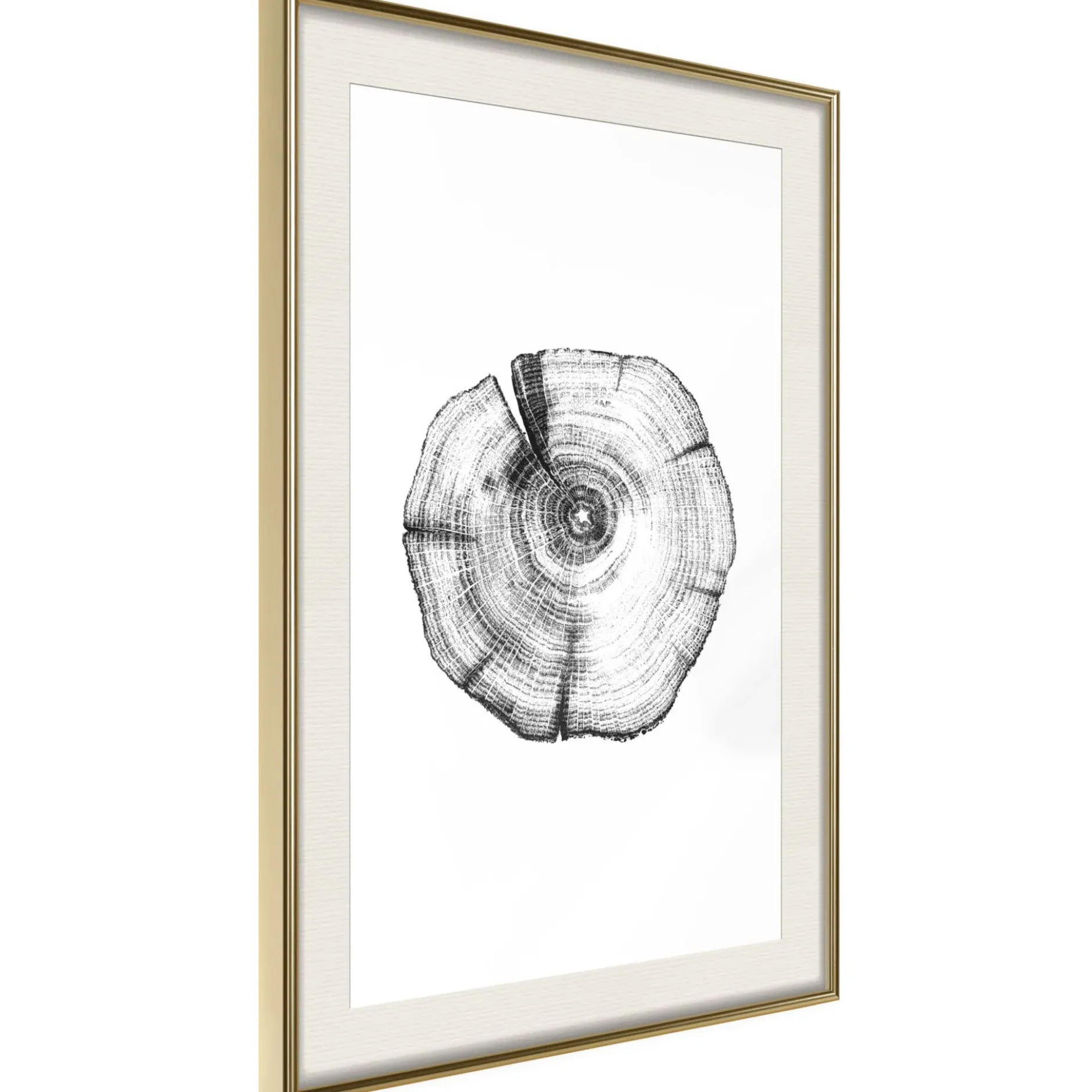Poster 'Tree Rings'