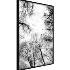 Poster 'Treetops'