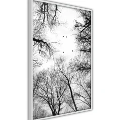 Poster 'Treetops'