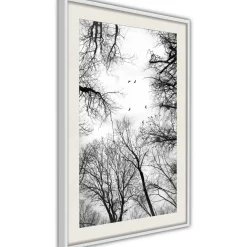 Poster 'Treetops'