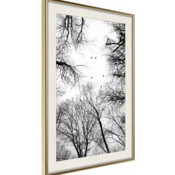 Poster 'Treetops'