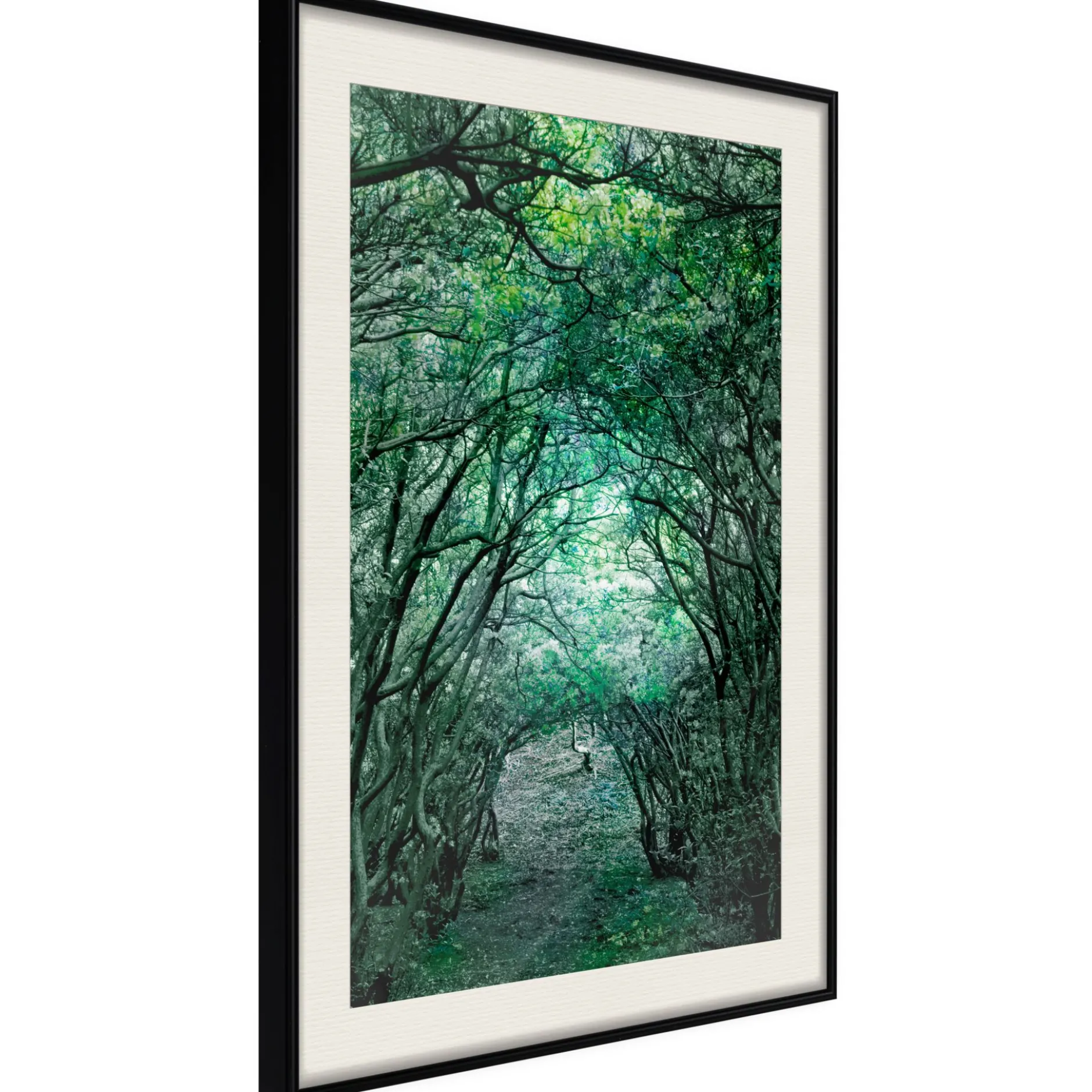 Poster 'Tree Tunnel'