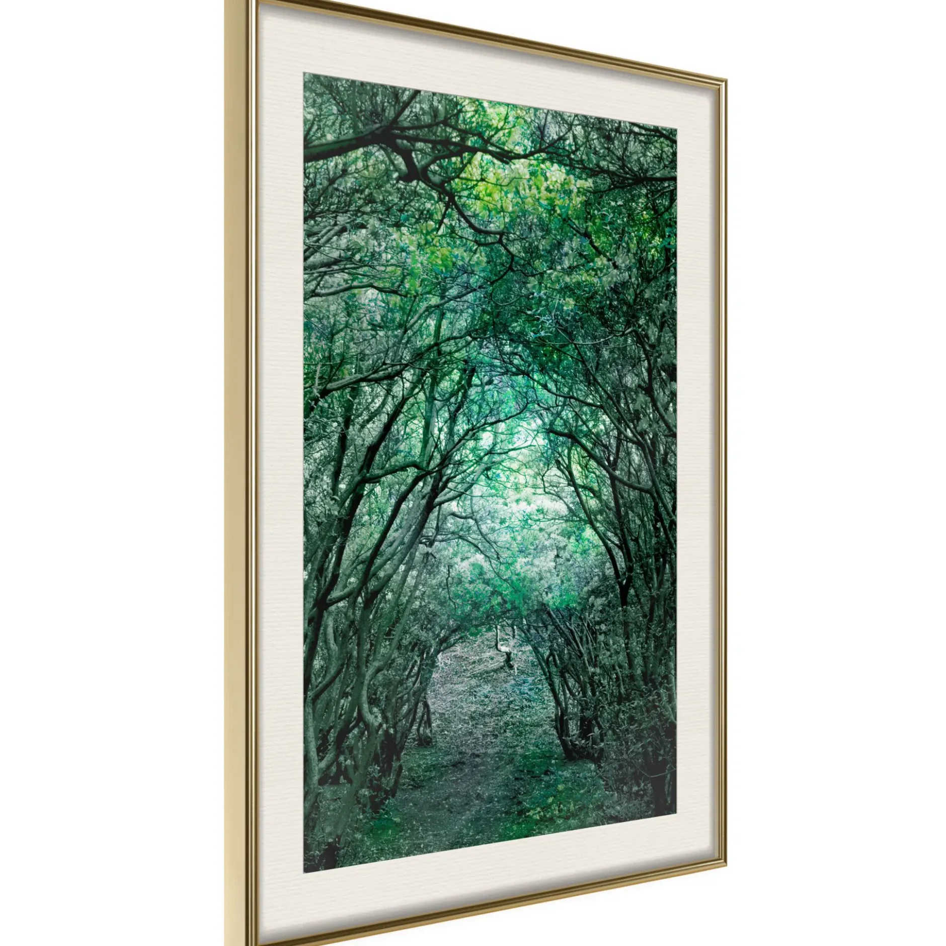 Poster 'Tree Tunnel'