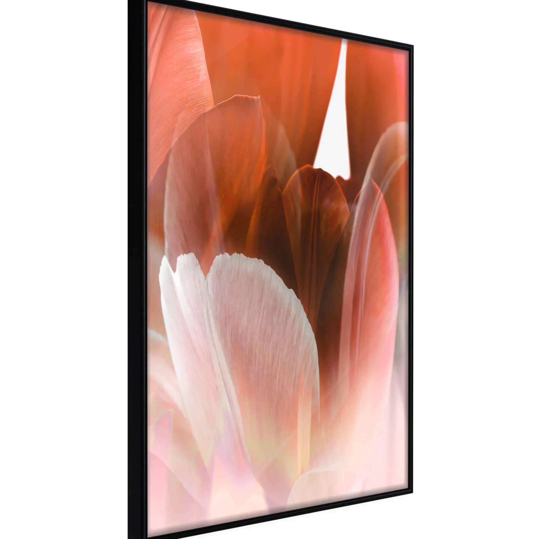 Poster 'Tulip Petals'