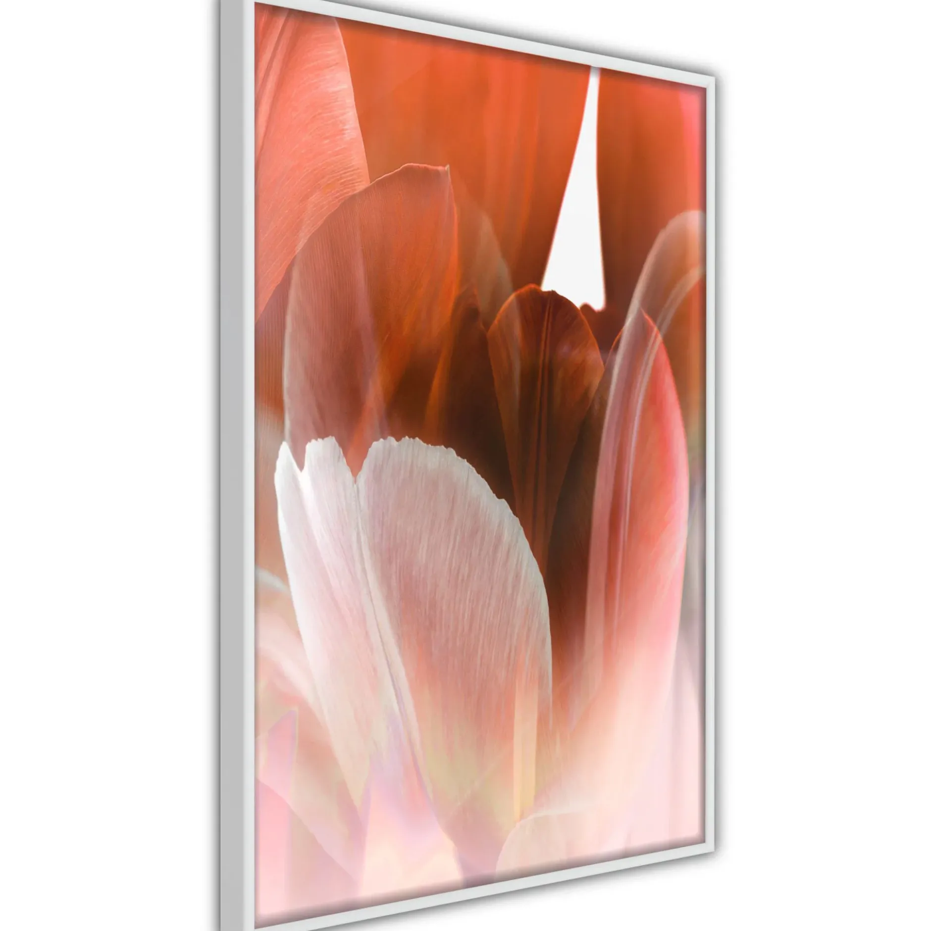 Poster 'Tulip Petals'