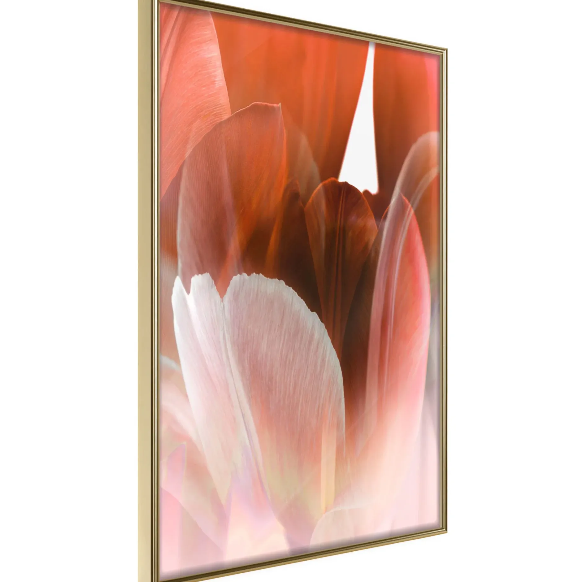 Poster 'Tulip Petals'