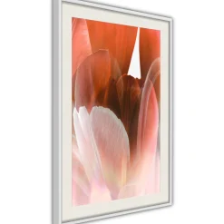 Poster 'Tulip Petals'