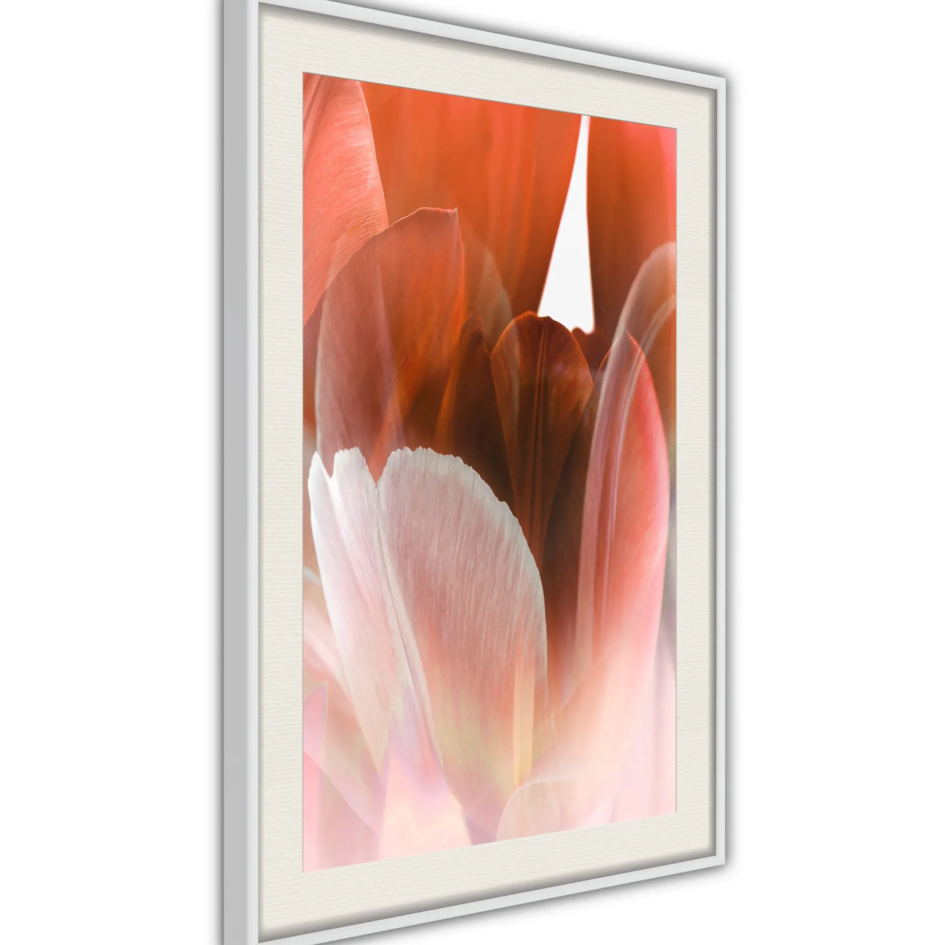 Poster 'Tulip Petals'