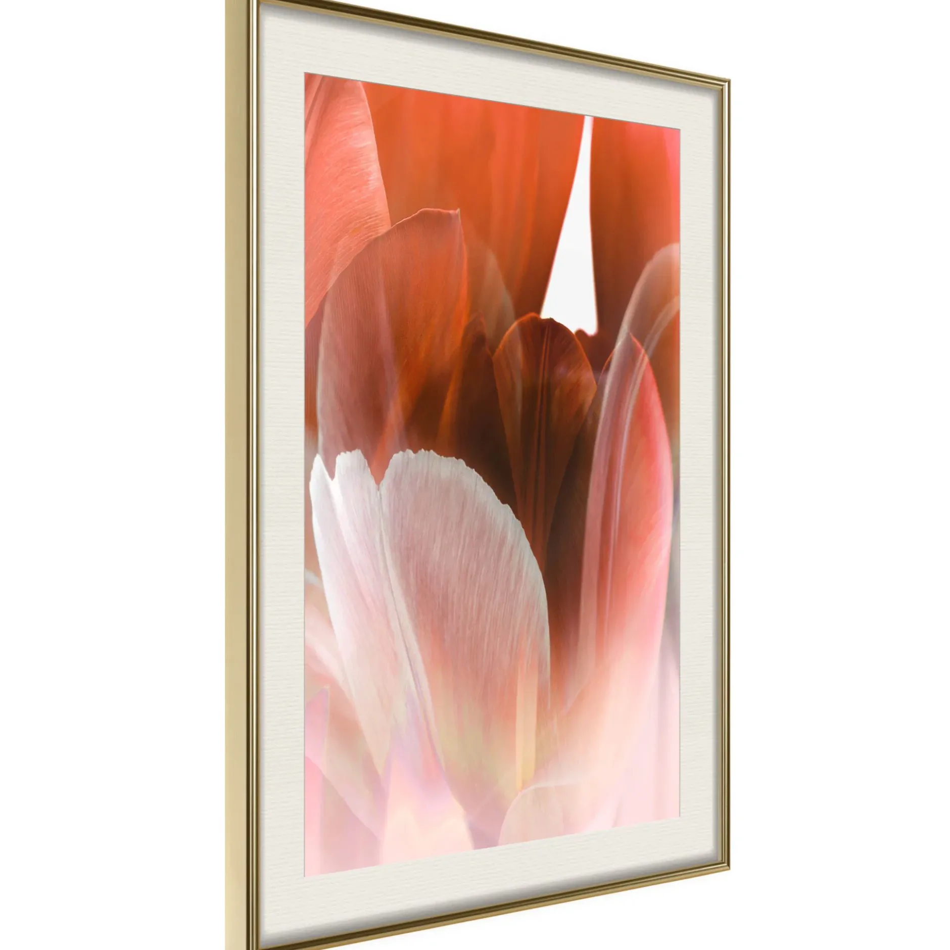 Poster 'Tulip Petals'