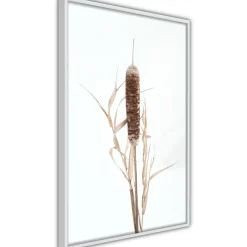 Poster 'Typha'