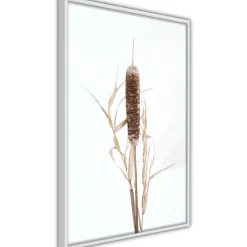 Poster 'Typha'