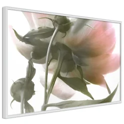 Poster 'Under the Flower'
