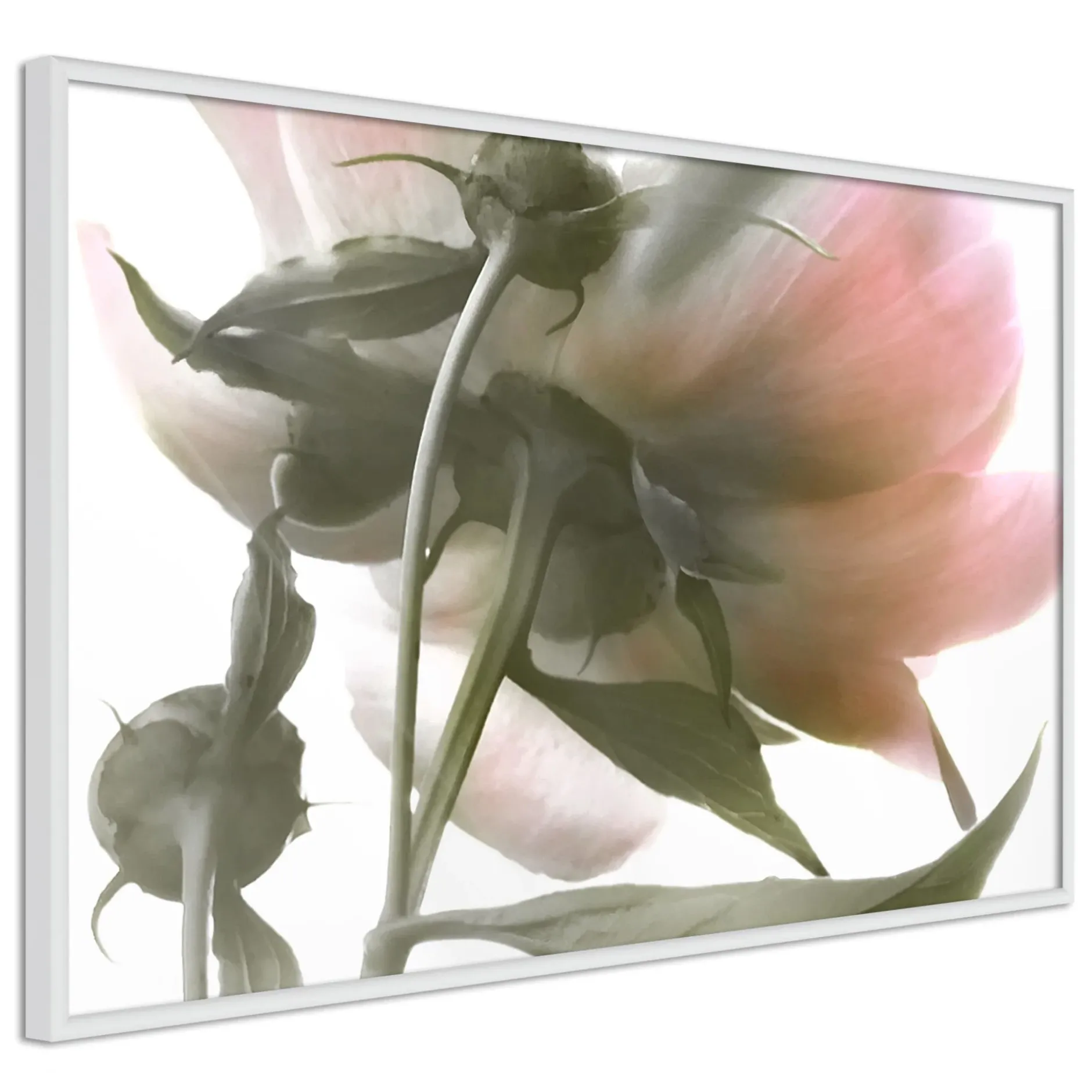 Poster 'Under the Flower'