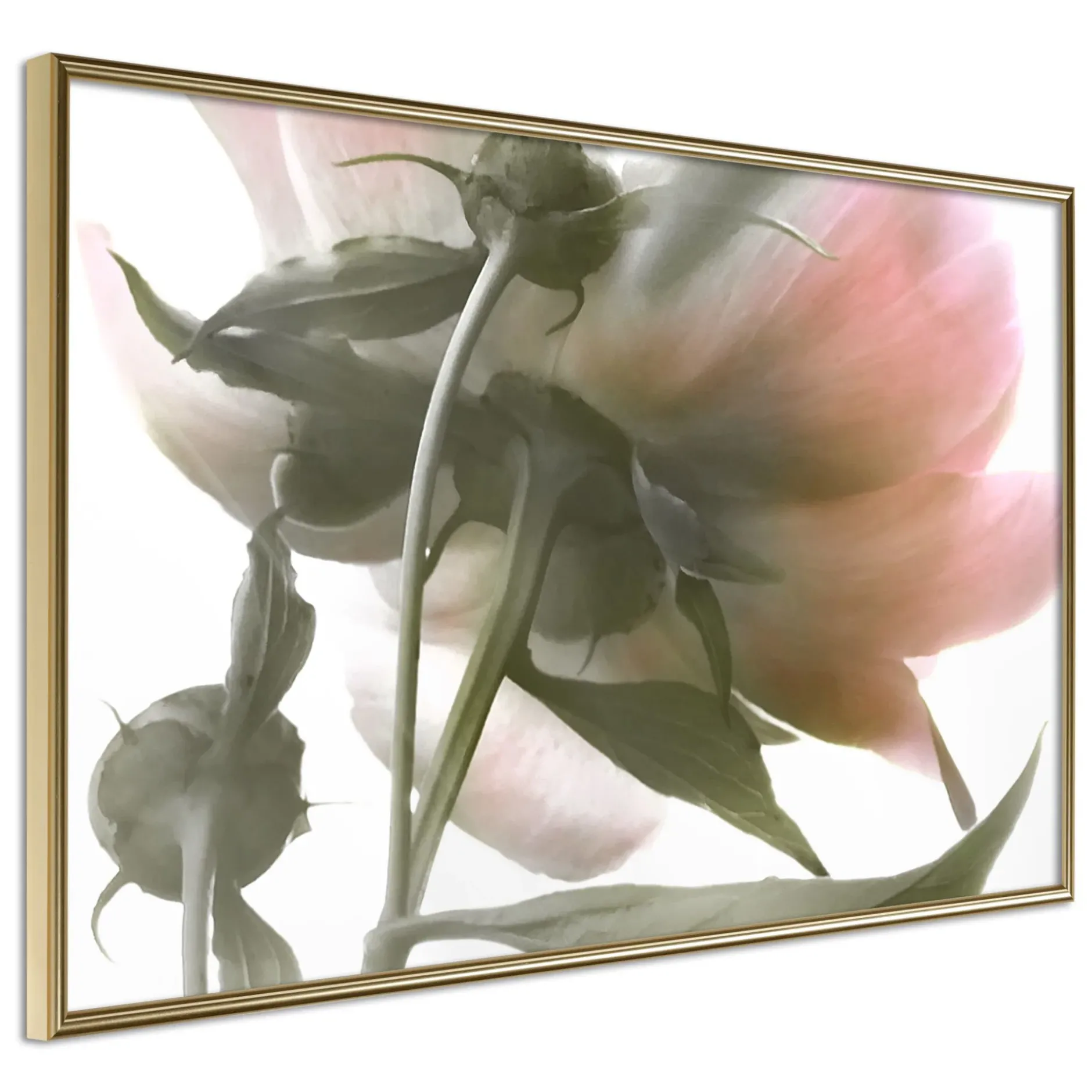 Poster 'Under the Flower'
