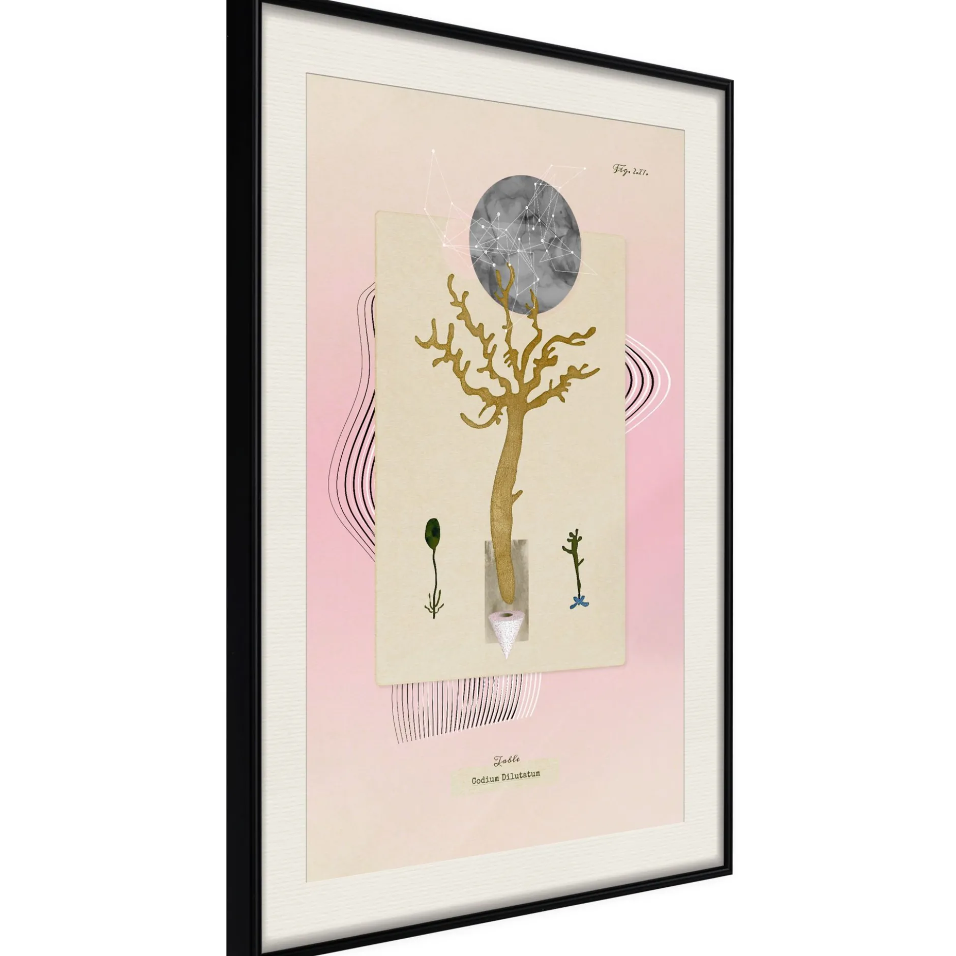 Poster 'Unusual Plant'