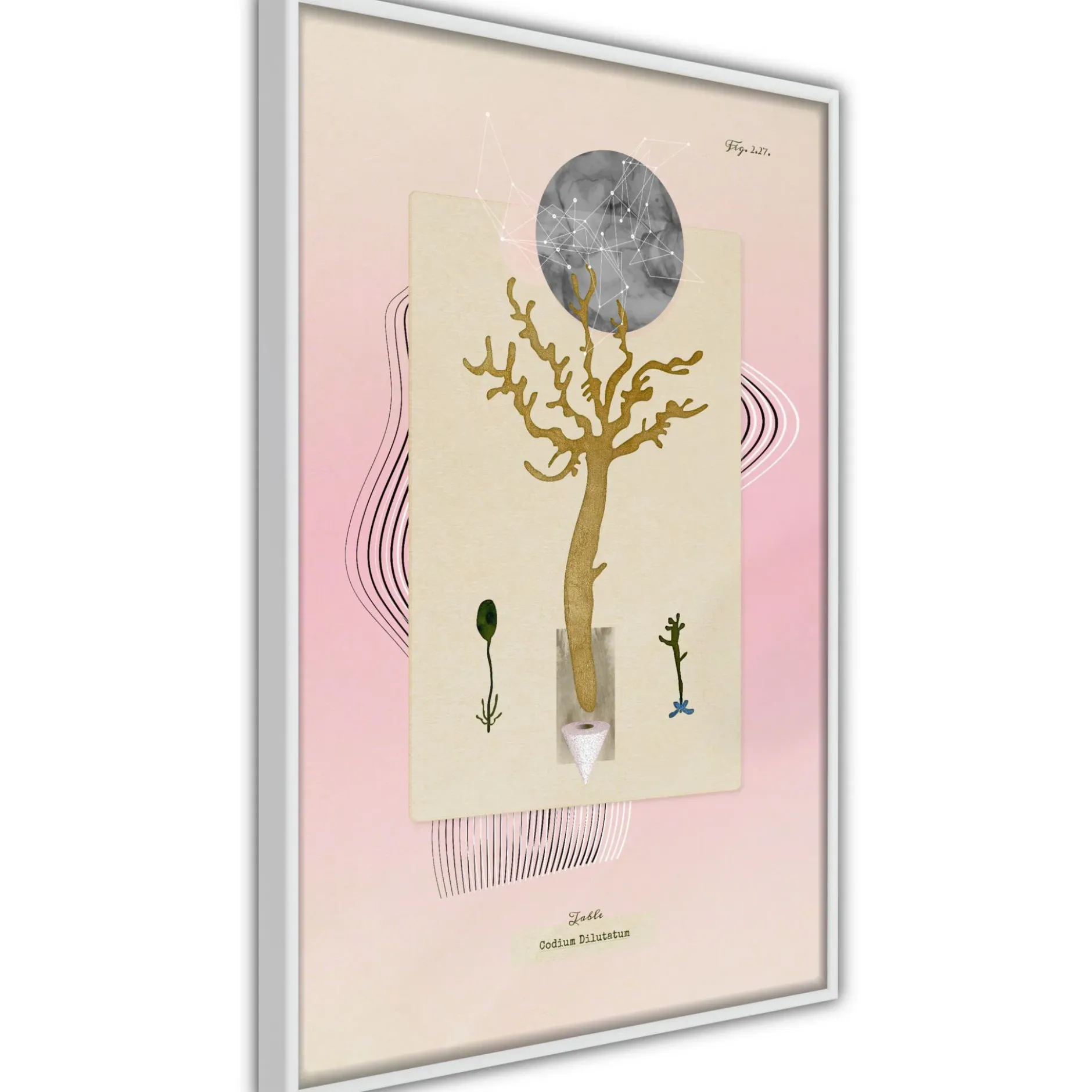 Poster 'Unusual Plant'