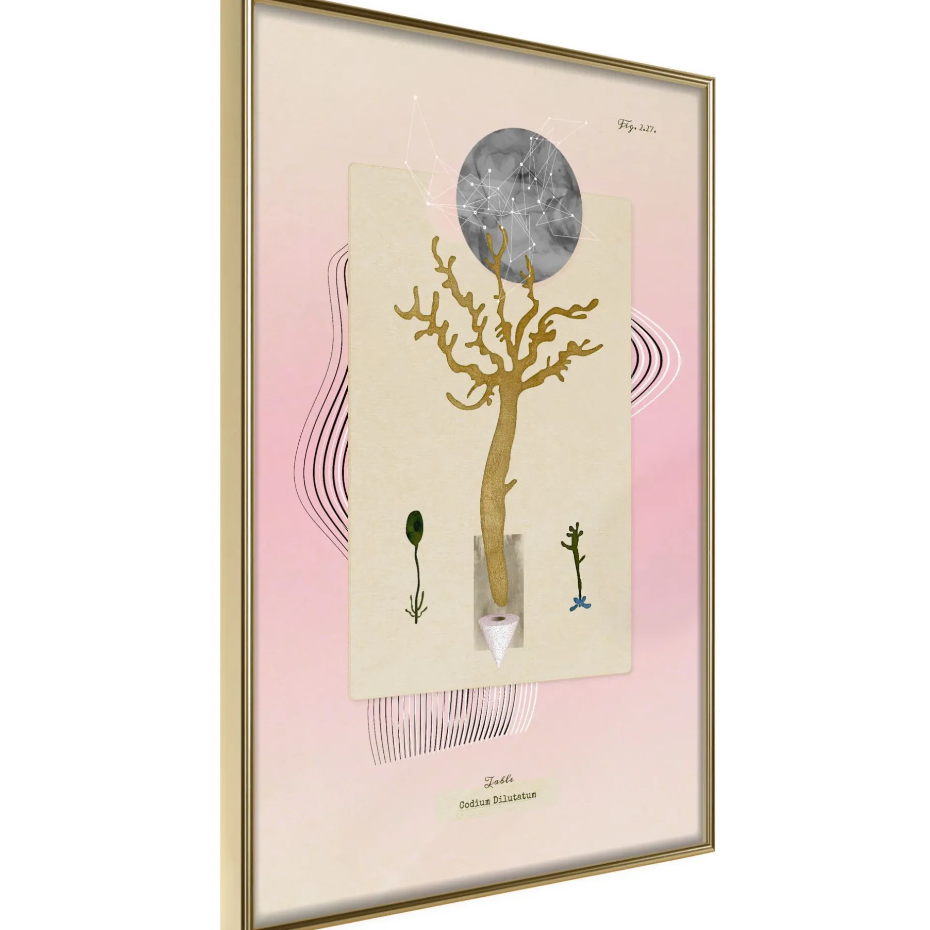 Poster 'Unusual Plant'