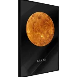 Poster 'Venus'