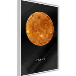 Poster 'Venus'