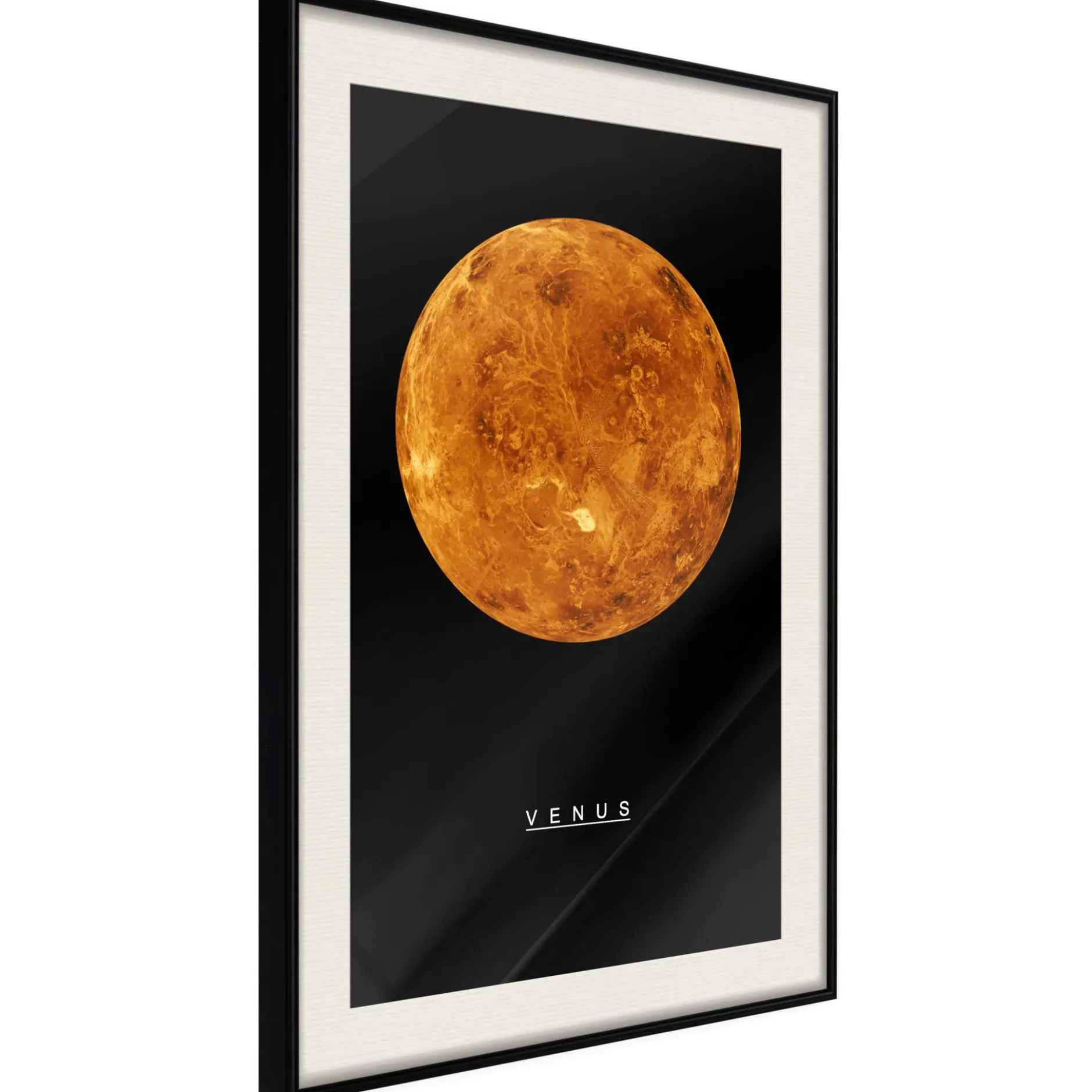 Poster 'Venus'