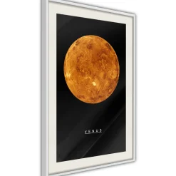Poster 'Venus'
