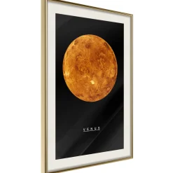 Poster 'Venus'