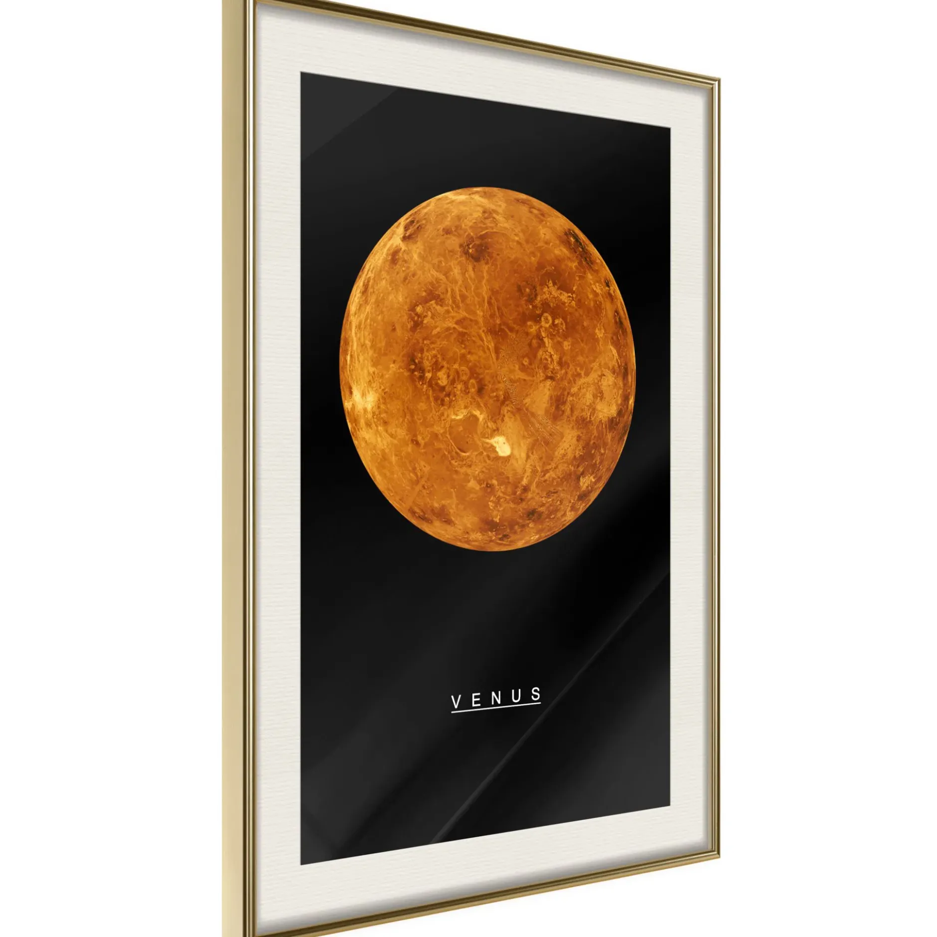 Poster 'Venus'