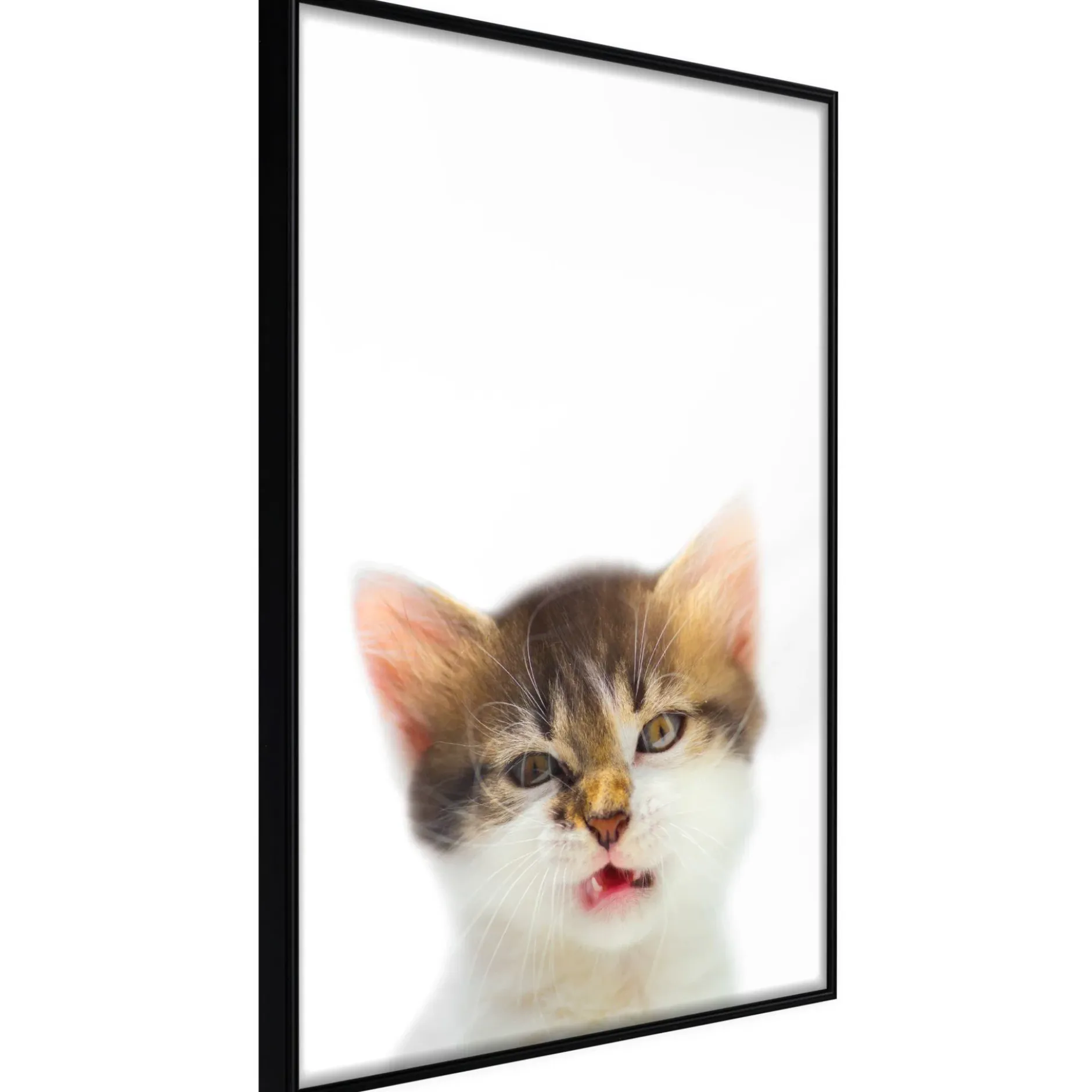 Poster 'Vexed Cat'
