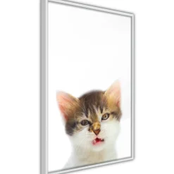 Poster 'Vexed Cat'