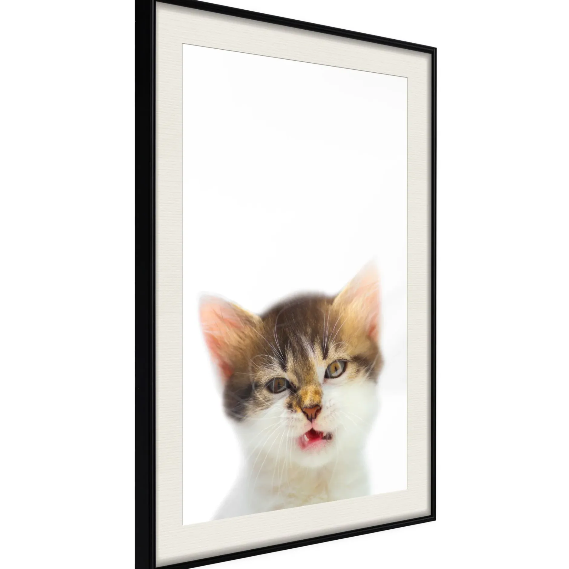 Poster 'Vexed Cat'