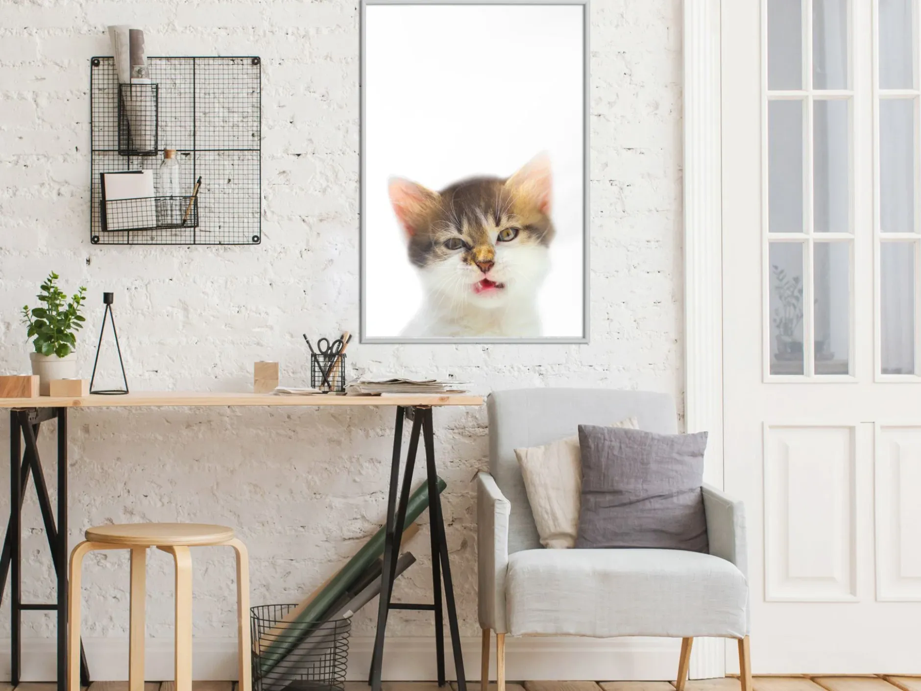 Poster 'Vexed Cat'