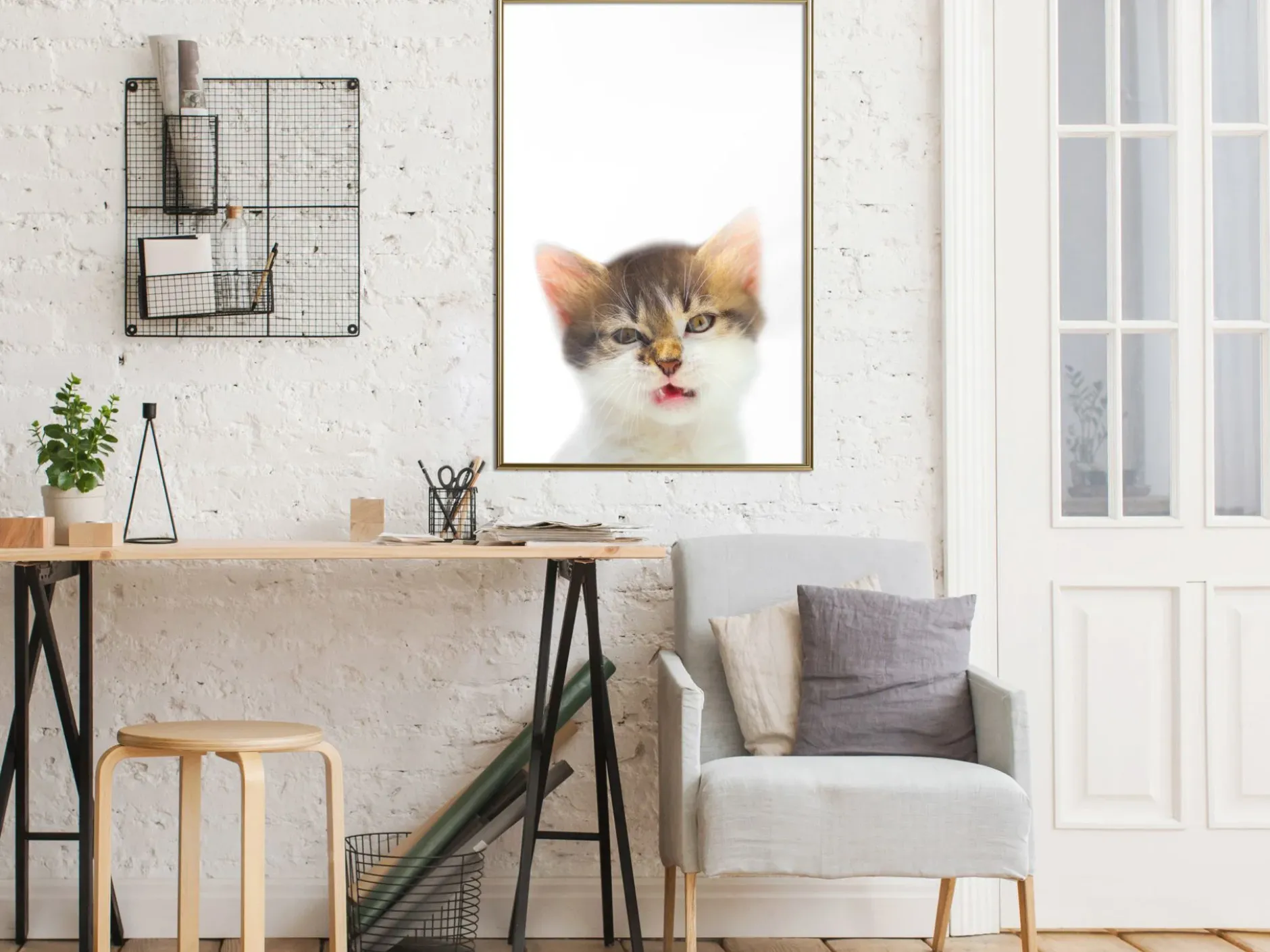 Poster 'Vexed Cat'