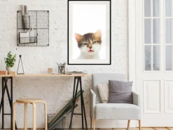 Poster 'Vexed Cat'