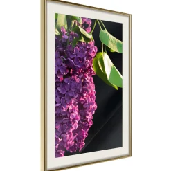 Poster 'Violet May'