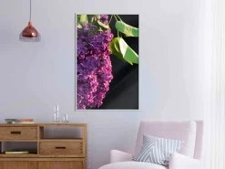 Poster 'Violet May'
