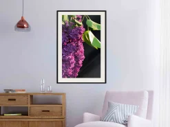 Poster 'Violet May'