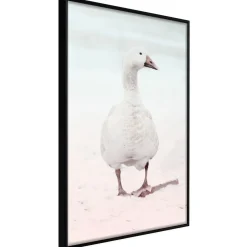 Poster 'Walking Goose'