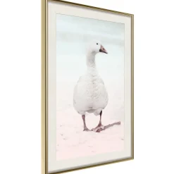 Poster 'Walking Goose'