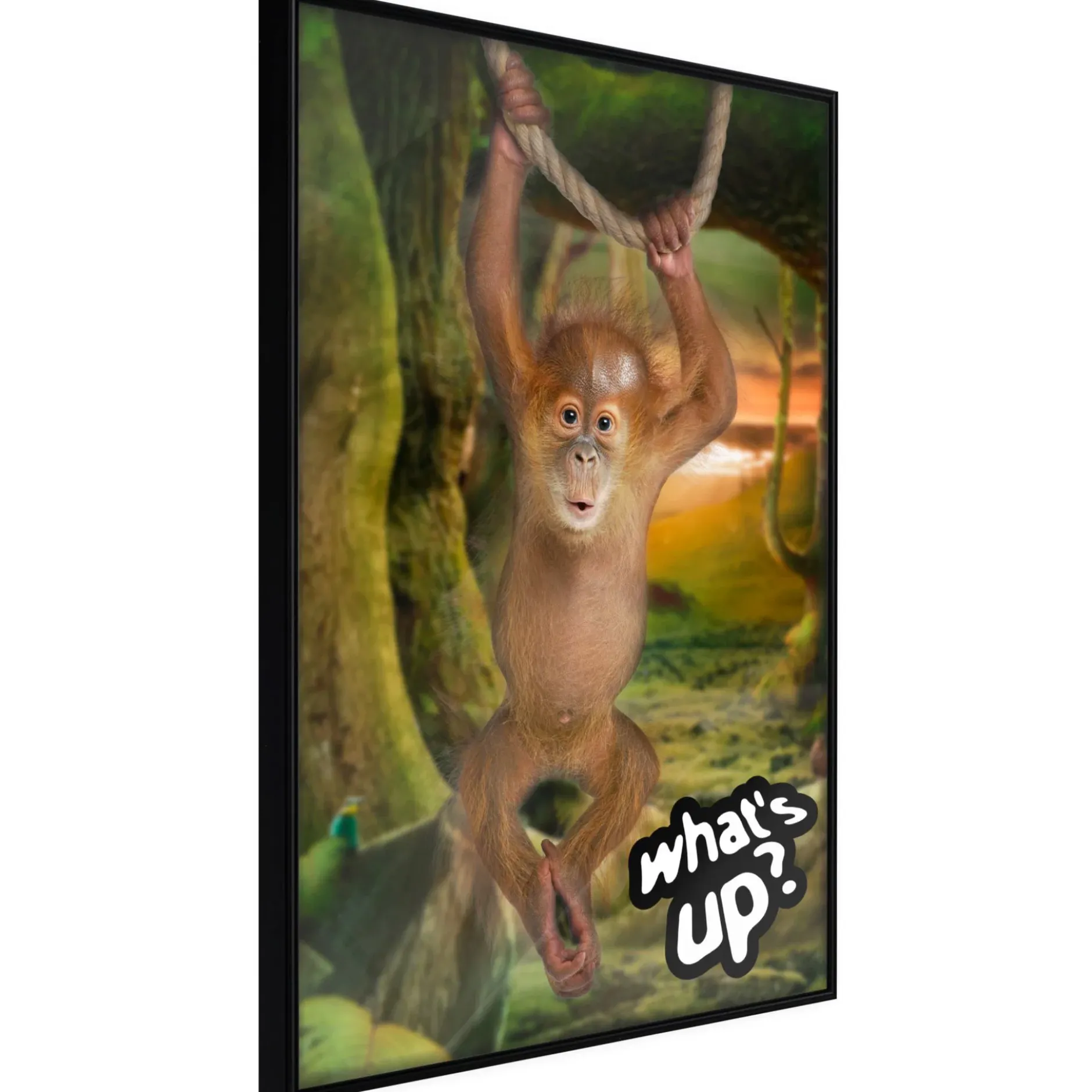 Poster 'What's Up?'