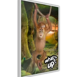 Poster 'What's Up?'