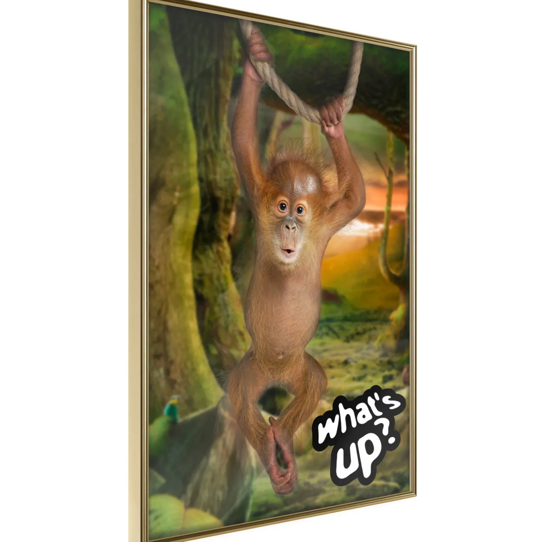 Poster 'What's Up?'