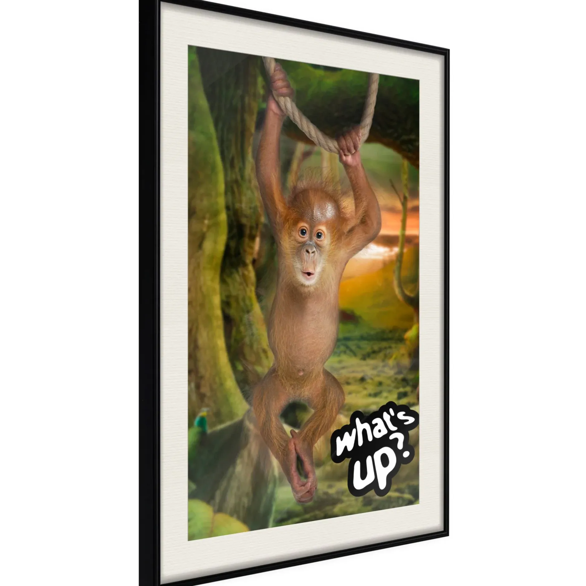 Poster 'What's Up?'
