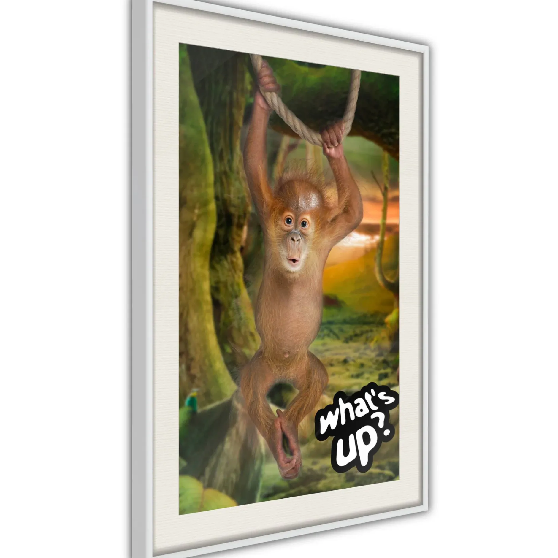 Poster 'What's Up?'