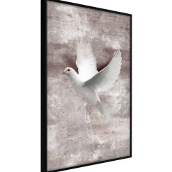 Poster 'White Dreams'