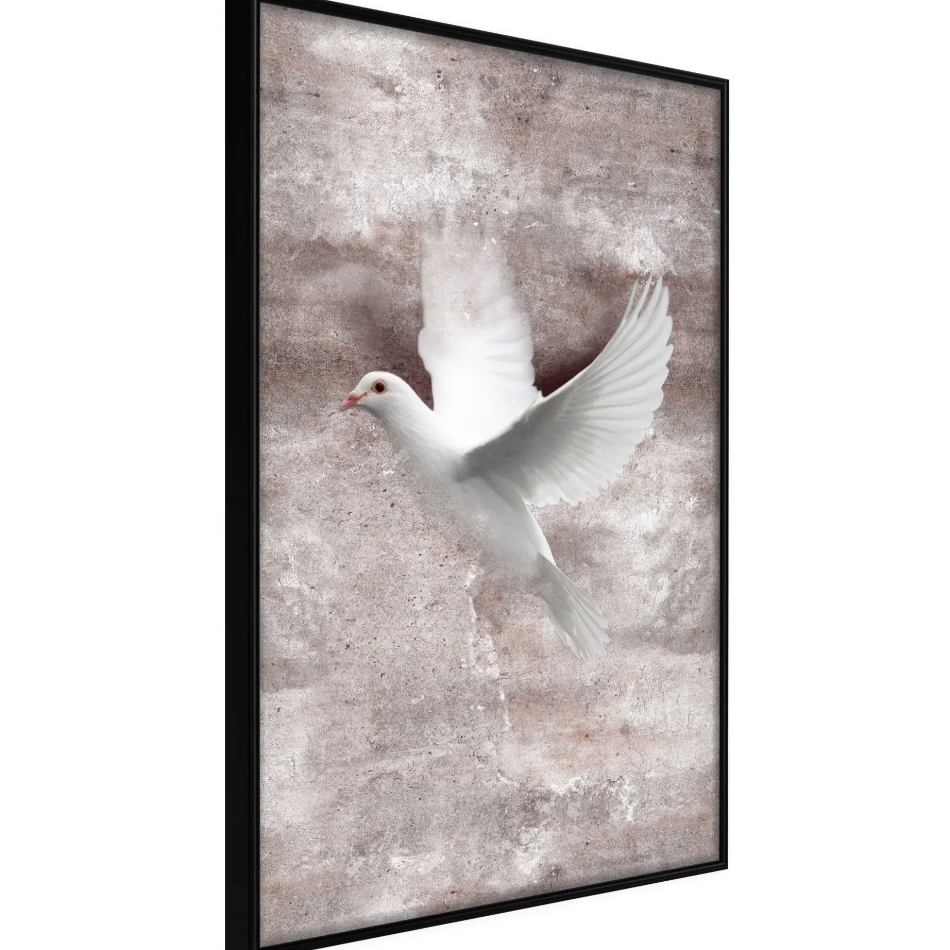 Poster 'White Dreams'