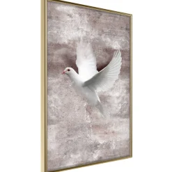 Poster 'White Dreams'