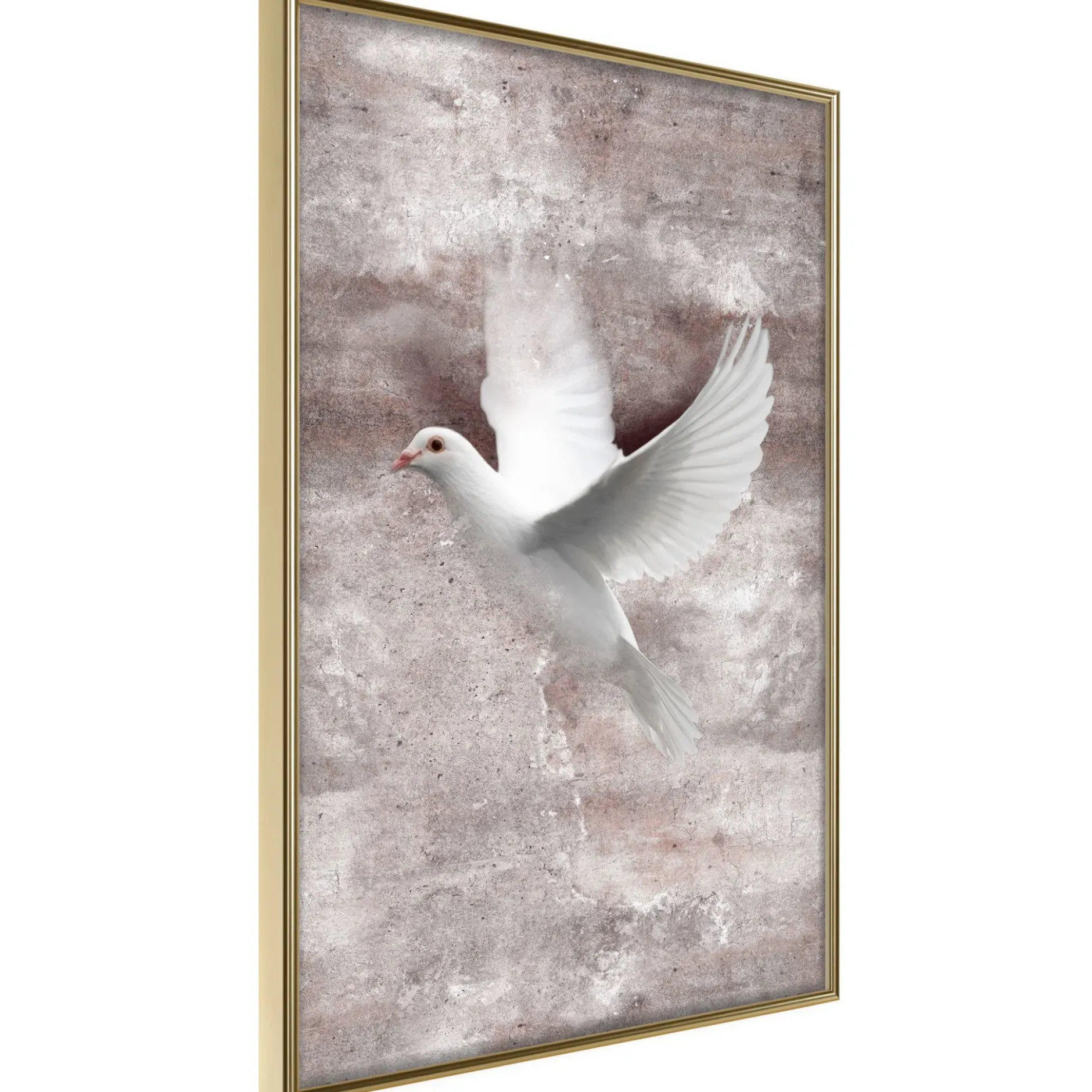 Poster 'White Dreams'
